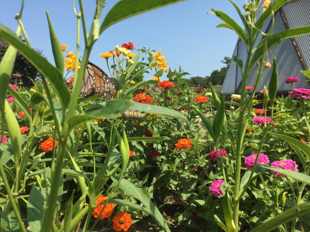 Seasonal Flower Bouquet Flywheel Farm